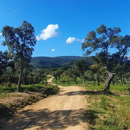 La Maison De La Mer, Golfe De Saint-tropez *